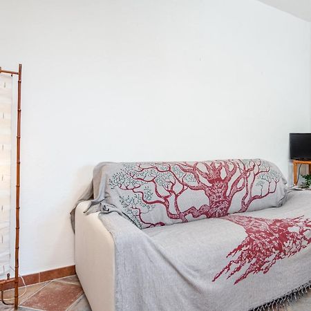 Holiday House Li Piri San Teodoro  Eksteriør bilde